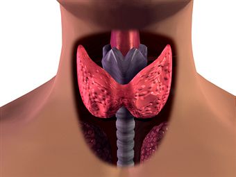 hyper-thyroid